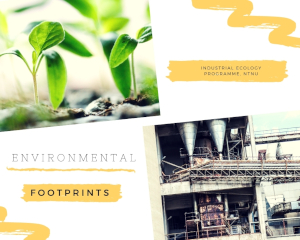 Environmental Footprints Explorer - icon