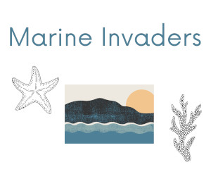 Marine Invaders - icon