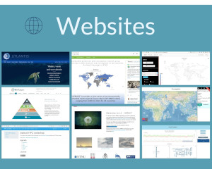Websites - icon